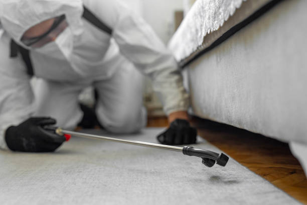Professional Termite Control technician working in Hickman, KY
