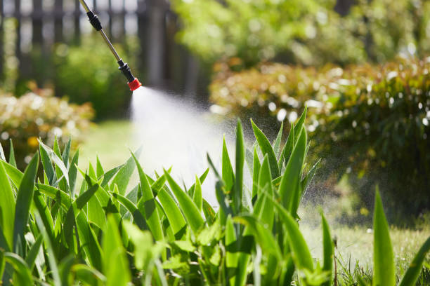 24/7 Emergency Termite Control experts in Hickman, KY