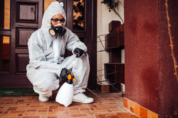 Reliable Termite Control contractor in Hickman, KY by Nex Pest Control